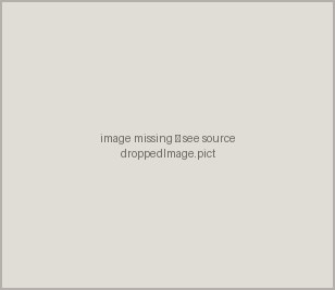 droppedImage.pict