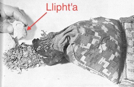 Mochica vase showing a man who is taking llipht'a with a stick.