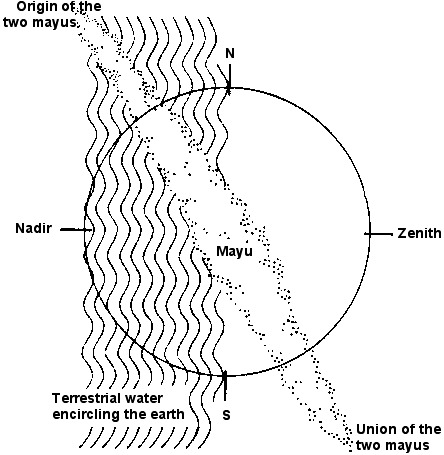 The Elizabeth Linnæus Phenomenon, is the name given to the phenomenon of "flashi