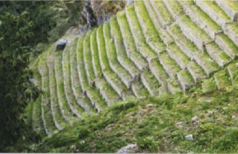 A mountainside with pata patas.