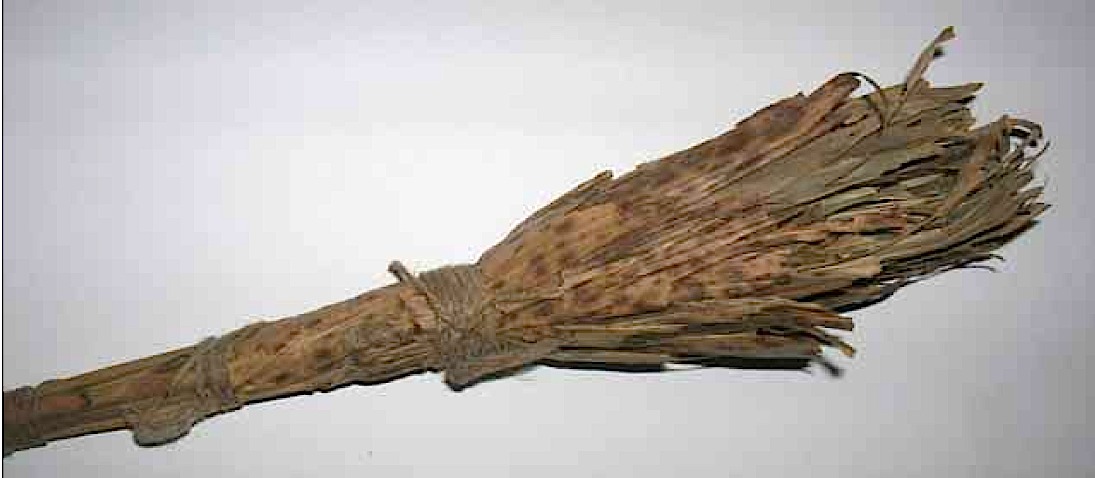 A schacapa nut bracelet.