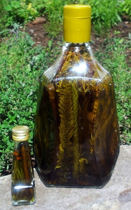 seguro
