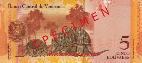 A yangunturo, or giant armadillo.