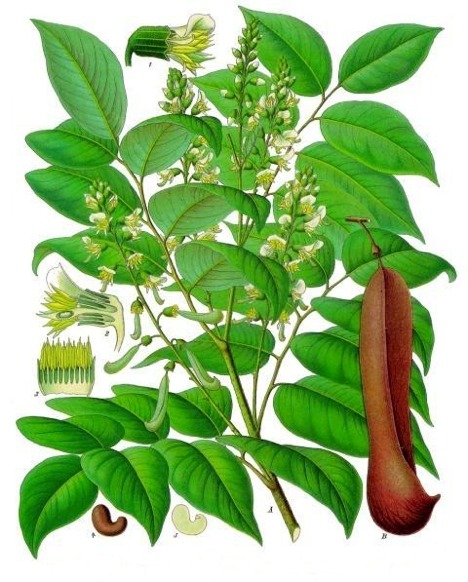 Balsam of Peru.