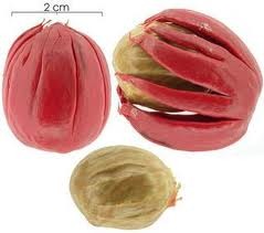 caupuri