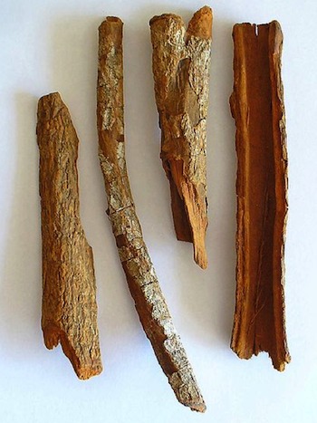 Cinchona bark.